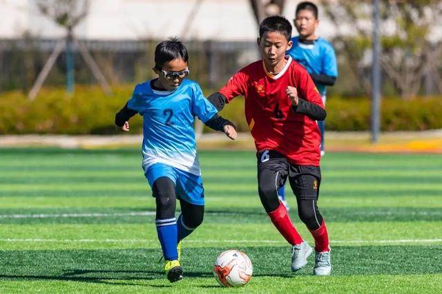 王睿泽30分杨瀚森29+10+7 青岛击败深圳